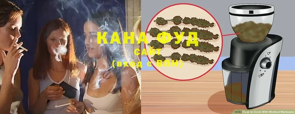 шишки Дмитриев