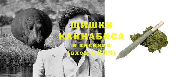 шишки Дмитриев