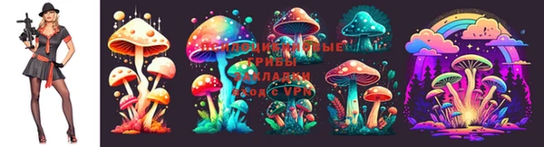 кокаин колумбия Ельня