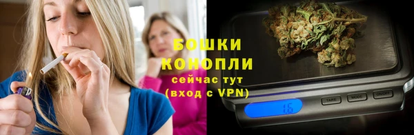 шишки Дмитриев