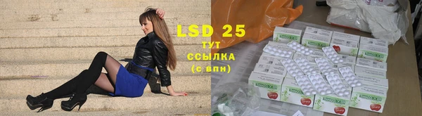 шишки Дмитриев