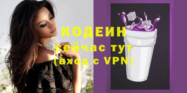 шишки Дмитриев