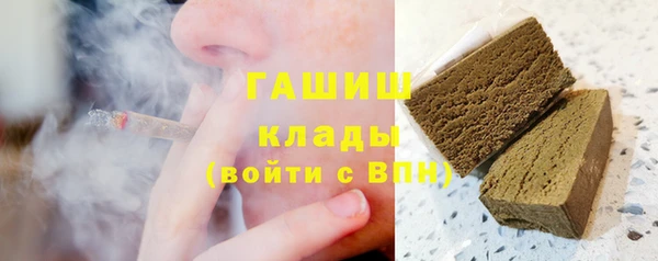 шишки Дмитриев