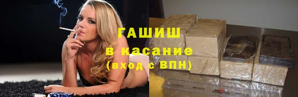 шишки Дмитриев