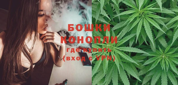 стафф Елизово