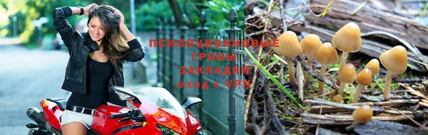 MDMA Дмитровск