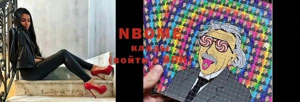 шишки Дмитриев