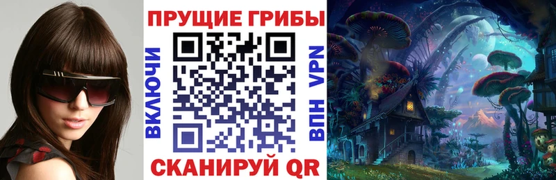 Купить где  Калачинск  Галлюциногенные грибы Cubensis 